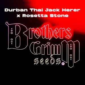 Durban-Thai-Jack-Herer-Rosetta-Stone_Genius-Juice-x-Cinderella-99 logo-DTJxRSt