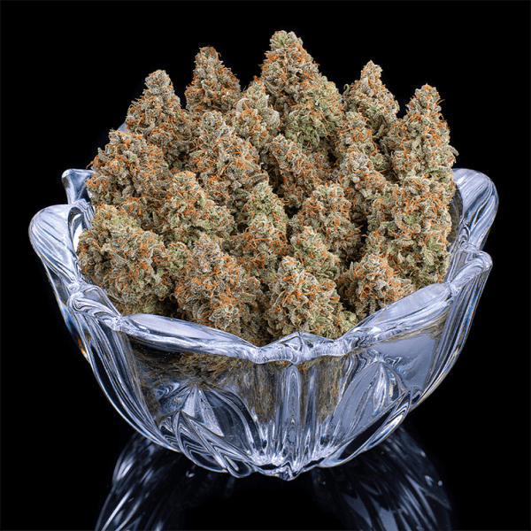 Rosetta Stone – Feminized Seeds