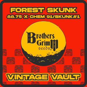 Forest-Skunk Forest Skunk - OG