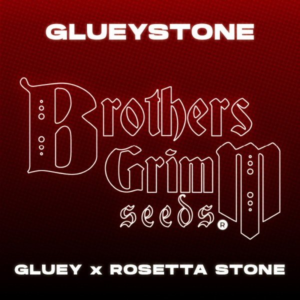 Glueystone-strain-Brothers-Grimm-Seeds-Seed-Bank logo-Gt