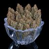 Headband 99 Feminized Seeds - Tester Pack