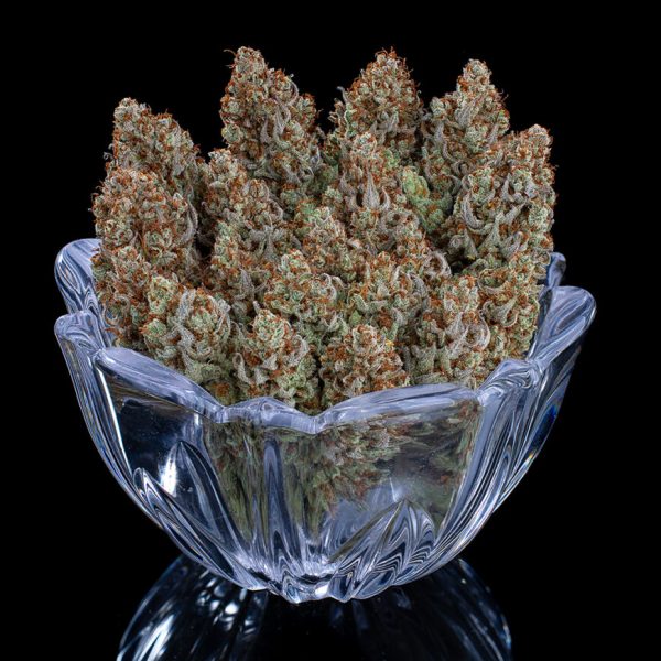 Headband 99 Feminized Seeds - Tester Pack