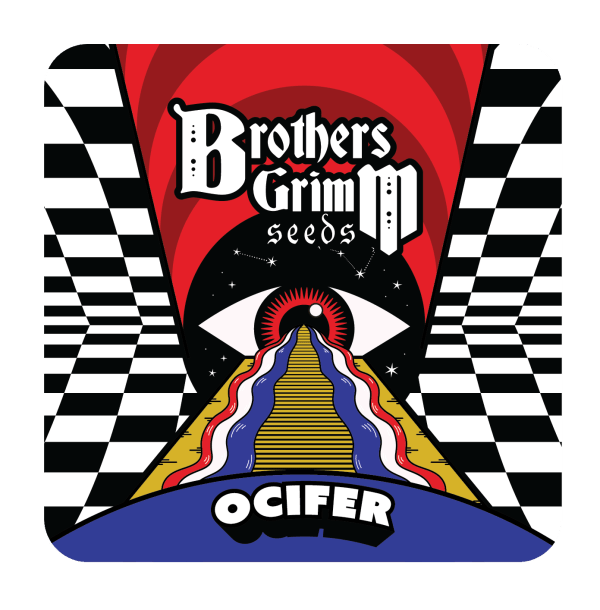 Ocifer-Seeds Ocifer