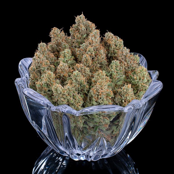 Rosetta78_Bowl_cropped Rosetta 78 Feminized Seeds - Tester Pack