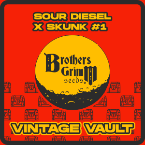 Sour-Diesel-x-Skunk-1 Feral Octane - OG