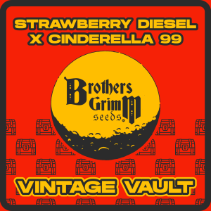 Strawberry-Diesel-x-Cinderella-99 Berry Diesel 99 - OG