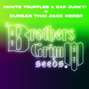 White-Truffles-Cap-Junky-x-Durban-Thai-Jack-Herer logo-WTxCJxDTJHt