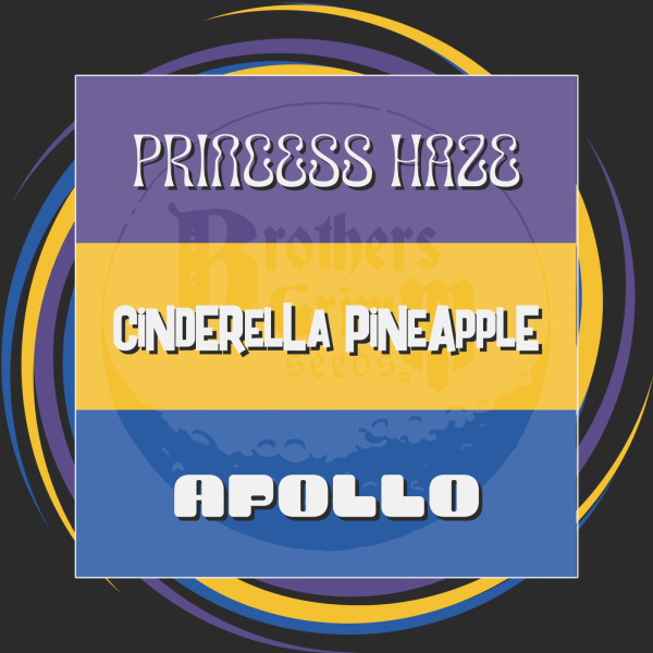 Female-Seed-Variety-Sampler-Pack-Brothers-Grimm-Seeds 2 Feminized Seeds Variety Pack 2: Princess Haze, Cinderella Pineapple, Apollo