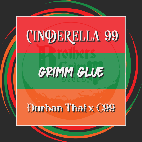 Feminized Seed Variety Pack 1: C99, Grimm Glue, DT X C99