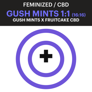 Gush Mints CBD Feminized